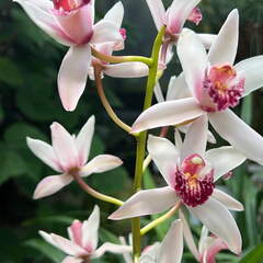 1D324213-301E-4160-8D94-5B82971CAF3B