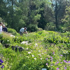 1ED5C362-72F0-43E0-8F8C-A36B85F92A5F