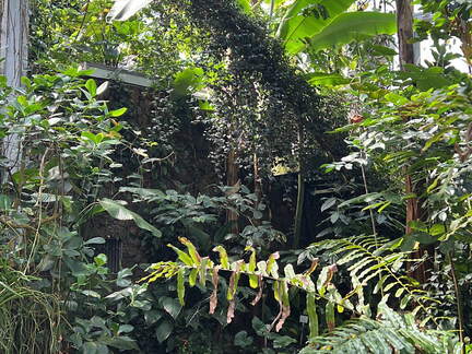 2C802E2B-47B3-46D0-B3D0-0FD5E6B234D6