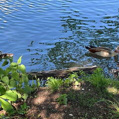 30EA9AF1-0BCD-44B7-9906-44B4AF0BB0BD