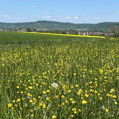 487382E8-8C8A-4340-A711-39F345435E31