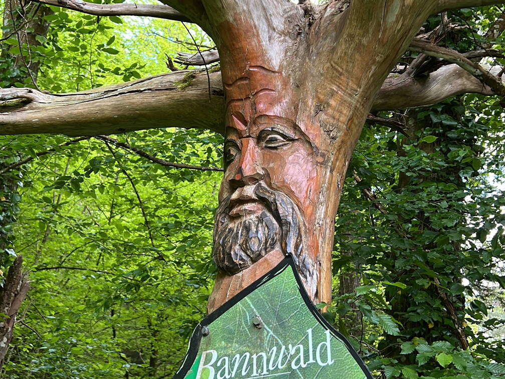 4BAB2AE8-04A9-477E-8C6C-2F487BA3B8D4