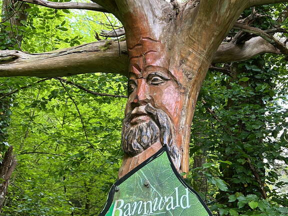 4BAB2AE8-04A9-477E-8C6C-2F487BA3B8D4