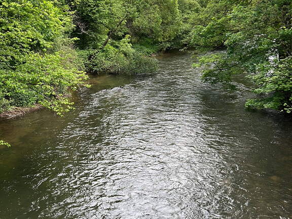 73C20703-C886-45DC-8365-83F3FAB7CC24