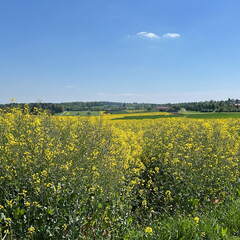 8C38E253-C891-4631-A87E-1CC0DE053DD0