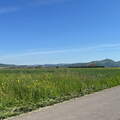 9A13E2D8-4739-4AE3-A26F-A49671A39A45
