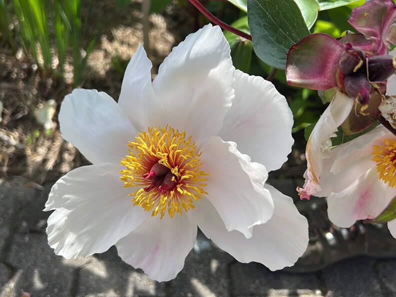 9DB9FAD6-66FB-40B3-8A10-0D5282ACDF6E