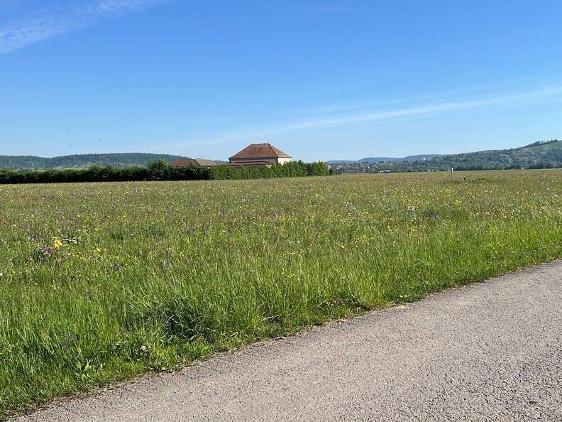 9DF49837-5E7B-4801-AB5E-69BD885EDCFE