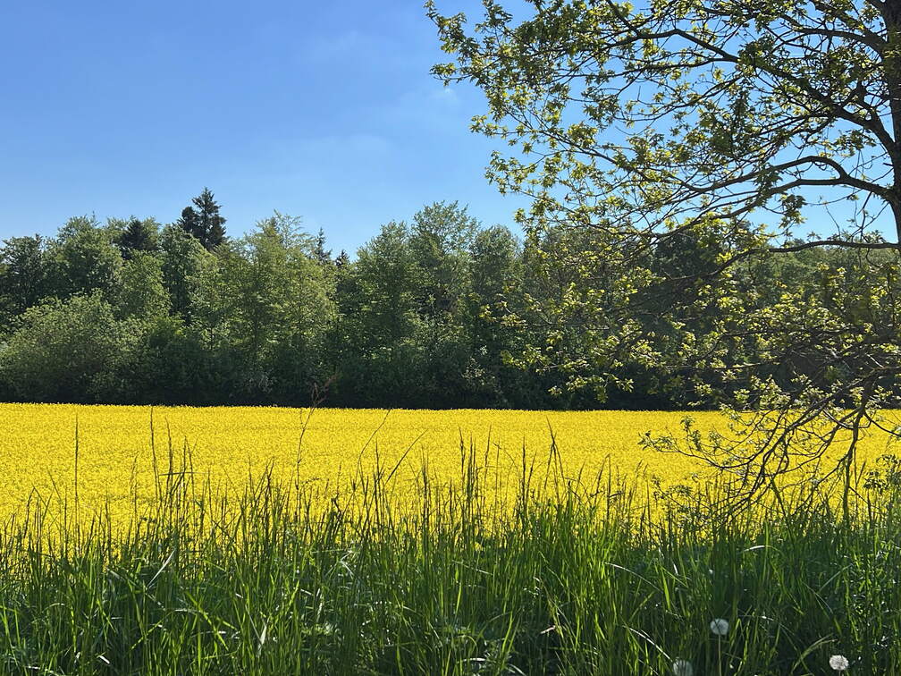 B4D814F8-5178-48C0-A106-CC415ABB15AE