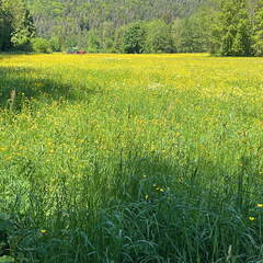 BD1D23F1-3950-4020-AE9B-F97A17B92C64