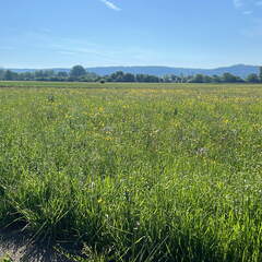 CE4108E9-4072-445B-82E9-1B777DCDC160