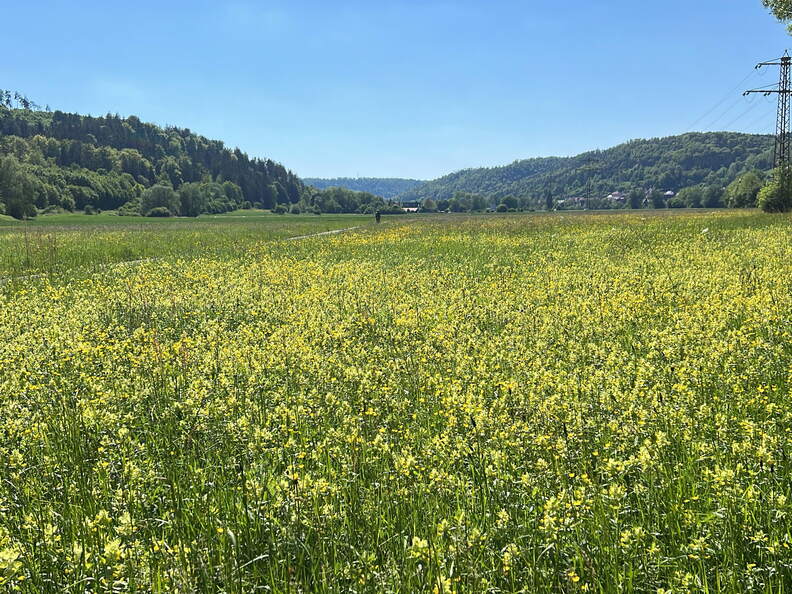 DF60F310-D862-49D5-9828-88449F1575E9