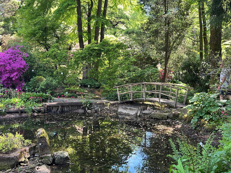 E43A4510-6C92-4236-A385-C26A3907F3A2