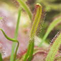 P4214687