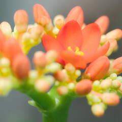 P4214701