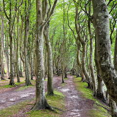 DB03D1D8-CDD7-4A07-B7F5-7C373A6A1D0F