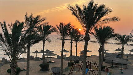 1E8CD2DC-EFE0-48B9-8B76-586A5C7297B7