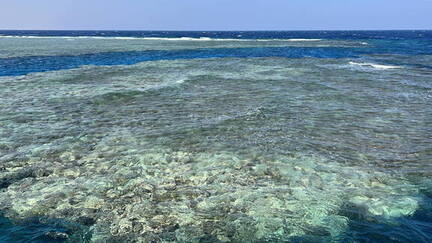 6AB06B8C-3D4C-4617-8B40-8B1DE76A476D