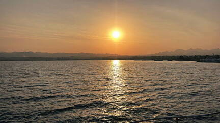 7D420585-2F26-477A-9DD0-BDD06BADFBE9