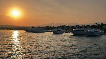 9D9EF65D-4E49-427D-8619-440BBF4EA0B9