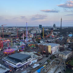 IMG 6185