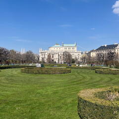 IMG 6223