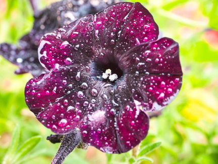 P7240001