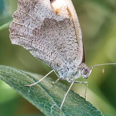 P8202243