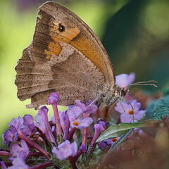 P8202269