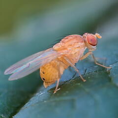 P8202439