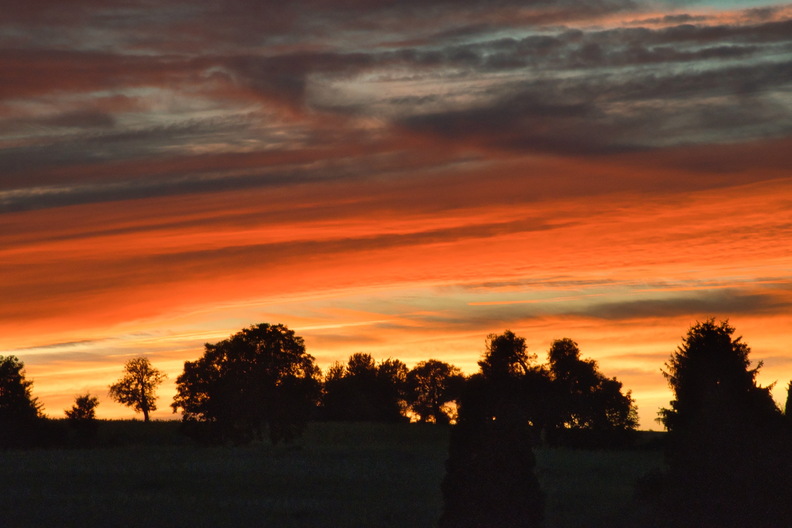 DSC_4250.jpeg