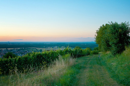 DSC-2694-Arbeitskopie-3