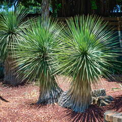 Australien 20131213 0044