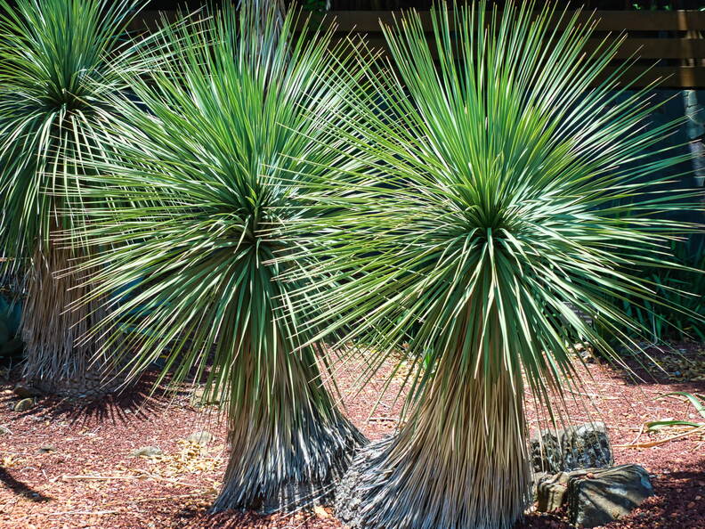 Australien 20131213 0044