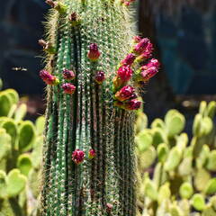 Australien 20131213 0045