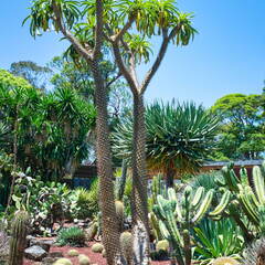 Australien 20131213 0047