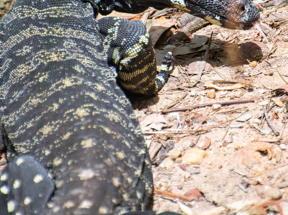 Australien 20131214 0077