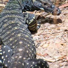 Australien 20131214 0077