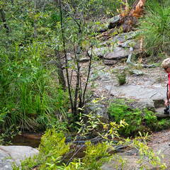 Australien 20131216 0091