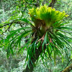 Australien 20131216 0097