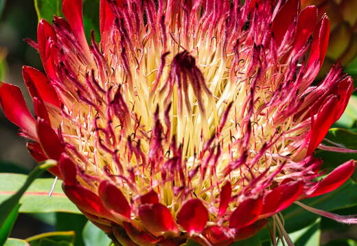 Australien 20131218 0146