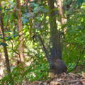 Australien 20131219 0161