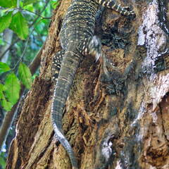 Australien 20131219 0162