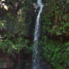 Australien 20131219 0163