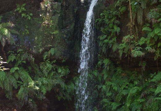 Australien 20131219 0163