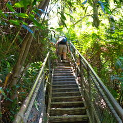 Australien 20131219 0164