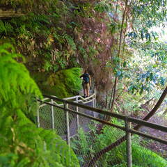 Australien 20131219 0165