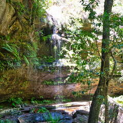 Australien 20131220 0192