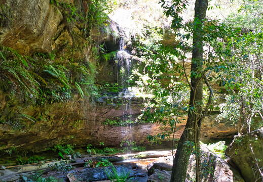 Australien 20131220 0192