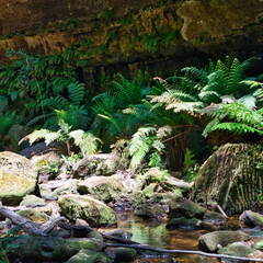 Australien 20131220 0199